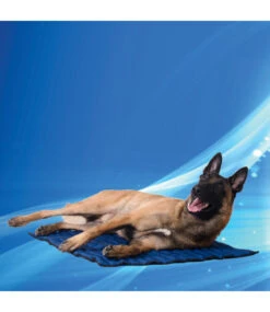 Doxtasy/Animal Gear Animal Gear Aqua Coolkeeper Cooling Mat -Hondenmode animal gear aqua coolkeeper cooling mat 7