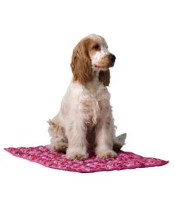 Doxtasy/Animal Gear Animal Gear Aqua Coolkeeper Cooling Mat -Hondenmode animal gear aqua coolkeeper cooling mat 9