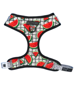 Big And Little Dogs Big And Little Dogs Adjustable A Slice Of Summer -Hondenmode big and little dogs adjustable a slice of summer 1