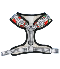 Big And Little Dogs Big And Little Dogs Adjustable A Slice Of Summer -Hondenmode big and little dogs adjustable a slice of summer 2