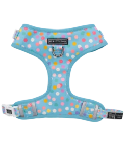 Big And Little Dogs Big And Little Dogs Adjustable Blue Confetti -Hondenmode big and little dogs adjustable blue confetti 1
