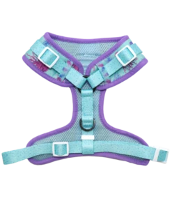 Big And Little Dogs Big And Little Dogs Adjustable Don't Be Jelly -Hondenmode big and little dogs adjustable dont be jelly 2