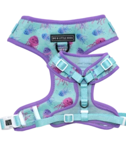 Big And Little Dogs Big And Little Dogs Adjustable Don't Be Jelly