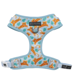 Big And Little Dogs Big And Little Dogs Adjustable Go Get Em' Tiger -Hondenmode big and little dogs adjustable go get em tiger 1