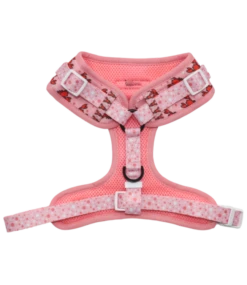 Big And Little Dogs Big And Little Dogs Adjustable Harness Aw Snap -Hondenmode big and little dogs adjustable harness aw snap 2