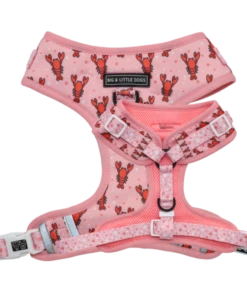 Big And Little Dogs Big And Little Dogs Adjustable Harness Aw Snap