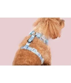 Big And Little Dogs Big And Little Dogs Adjustable Harness Donut Kill My Vibe ( Blue Version ) -Hondenmode big and little dogs adjustable harness donut kill 3
