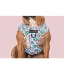 Big And Little Dogs Big And Little Dogs Adjustable Harness Donut Kill My Vibe ( Blue Version ) -Hondenmode big and little dogs adjustable harness donut kill 4