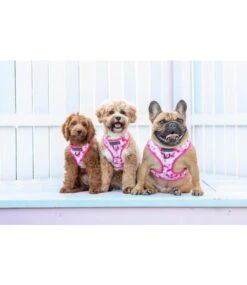Big And Little Dogs Big And Little Dogs Adjustable Harness Pink Tie Dye ( S, L & XL ) -Hondenmode big and little dogs adjustable harness pink tie dy 2