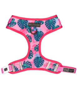 Big And Little Dogs Big And Little Dogs Adjustable Harness Summer Lovin' ( L & XL ) -Hondenmode big and little dogs adjustable harness summer lovi 1