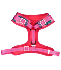 Big And Little Dogs Big And Little Dogs Adjustable Harness Summer Lovin' ( L & XL ) -Hondenmode big and little dogs adjustable harness summer lovi 2