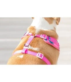 Big And Little Dogs Big And Little Dogs Adjustable Harness Summer Lovin' ( L & XL ) -Hondenmode big and little dogs adjustable harness summer lovi 3