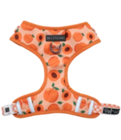 Big And Little Dogs Big And Little Dogs Adjustable Just Peachy -Hondenmode big and little dogs adjustable just peachy 1