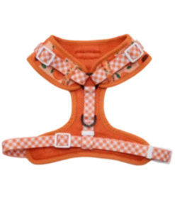 Big And Little Dogs Big And Little Dogs Adjustable Just Peachy -Hondenmode big and little dogs adjustable just peachy 2