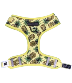 Big And Little Dogs Big And Little Dogs Adjustable Lookin' Pine -Hondenmode big and little dogs adjustable lookin pine 1