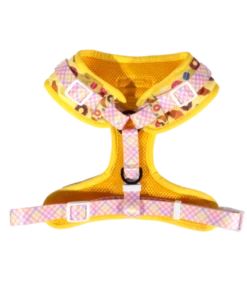 Big And Little Dogs Big And Little Dogs Adjustable Pastries In Paris -Hondenmode big and little dogs adjustable pastries in paris 2