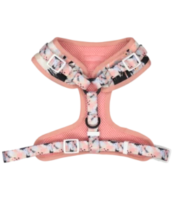 Big And Little Dogs Big And Little Dogs Adjustable Peach Splatter Terrazzo 9 Big And Little Dogs Big And Little Dogs Adjustable Peach Splatter Terrazzo -Hondenmode big and little dogs adjustable peach splatter terr 2