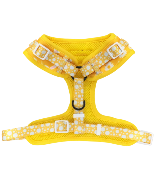 Big And Little Dogs Big And Little Dogs Adjustable Show Me The Bunny 5 Big And Little Dogs Big And Little Dogs Adjustable Show Me The Bunny - Afbeelding 3