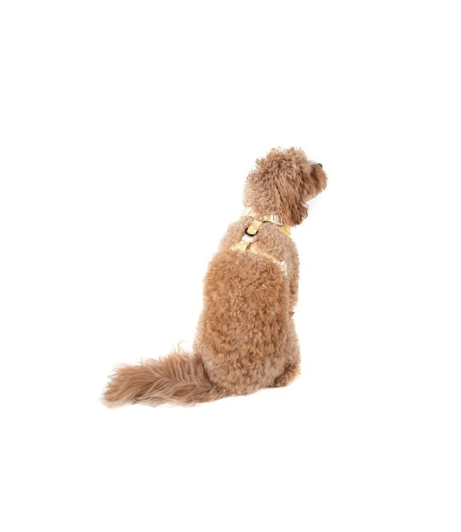 Big And Little Dogs Big And Little Dogs Adjustable Show Me The Bunny 7 Big And Little Dogs Big And Little Dogs Adjustable Show Me The Bunny - Afbeelding 5