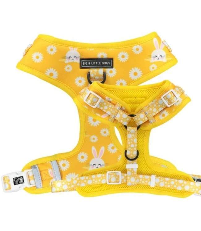 Big And Little Dogs Big And Little Dogs Adjustable Show Me The Bunny 3 Big And Little Dogs Big And Little Dogs Adjustable Show Me The Bunny