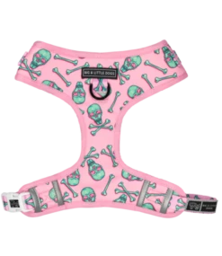 Big And Little Dogs Big And Little Dogs Adjustable Skull And Bones -Hondenmode big and little dogs adjustable skull and bones 1
