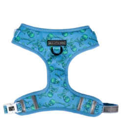 Big And Little Dogs Big And Little Dogs Adjustable Skulls & Bones (Blue Version) -Hondenmode big and little dogs adjustable skulls bones blue v 1