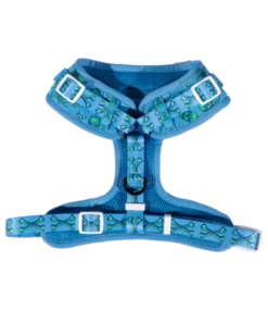 Big And Little Dogs Big And Little Dogs Adjustable Skulls & Bones (Blue Version) -Hondenmode big and little dogs adjustable skulls bones blue v 2
