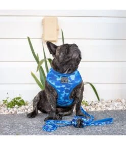 Big And Little Dogs Big And Little Dogs Blue Camo Poepzakjeshouder -Hondenmode big and little dogs blue camo poepzakjeshouder 2