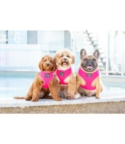 Big And Little Dogs Big And Little Dogs Classic Harness Hot Pink -Hondenmode big and little dogs classic harness hot pink 2