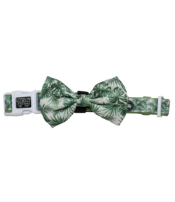 Big And Little Dogs Big And Little Dogs Collar & Bow-tie Lost In Paradise