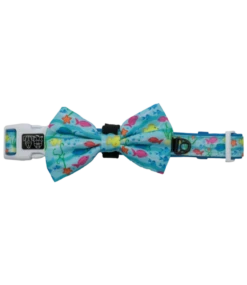 Big And Little Dogs Big And Little Dogs Collar & Bow-tie You're A Catch