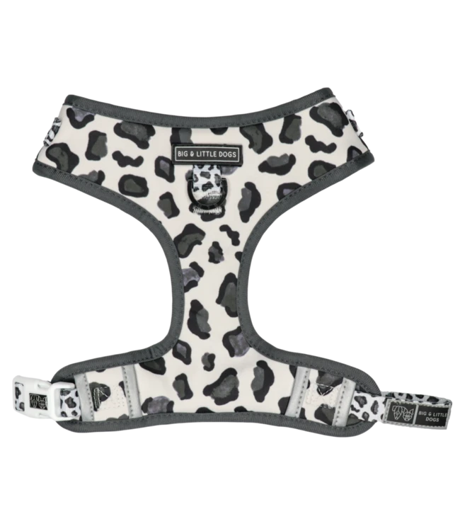 Big And Little Dogs Big And Little Dogs Grey Leopard 4 Big And Little Dogs Big And Little Dogs Grey Leopard - Afbeelding 2