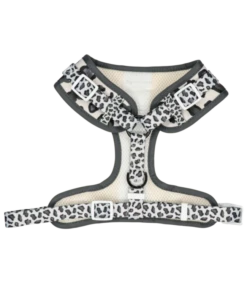 Big And Little Dogs Big And Little Dogs Grey Leopard 10 Big And Little Dogs Big And Little Dogs Grey Leopard -Hondenmode big and little dogs grey leopard 2