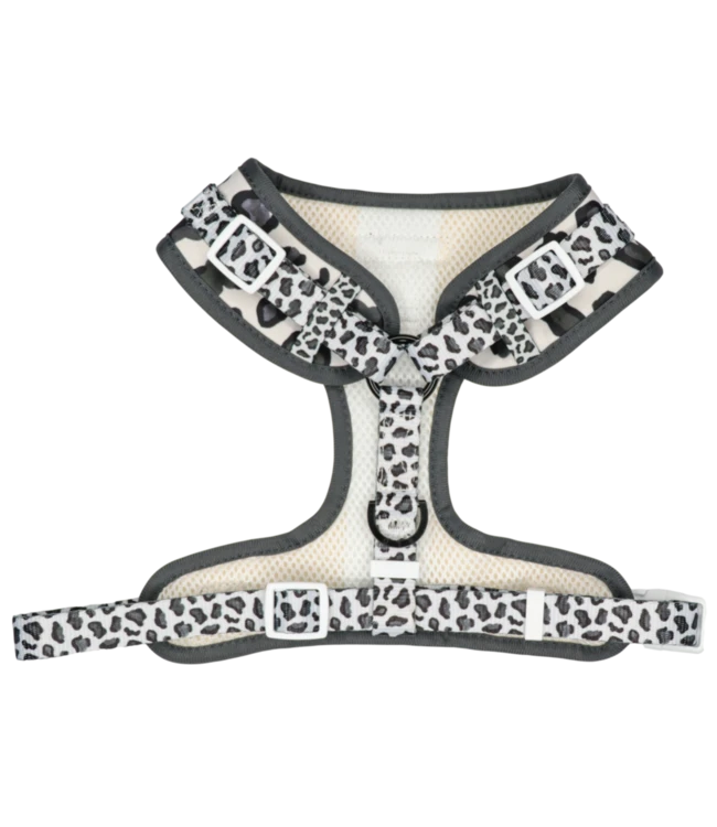 Big And Little Dogs Big And Little Dogs Grey Leopard 5 Big And Little Dogs Big And Little Dogs Grey Leopard - Afbeelding 3