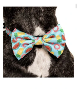 Big And Little Dogs Big And Little Dogs Halsband A Splashing Good Time ( XSMALL ) -Hondenmode big and little dogs halsband a splashing good time 3