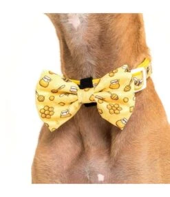 Big And Little Dogs Big And Little Dogs Halsband Bee Hiving 15 Big And Little Dogs Big And Little Dogs Halsband Bee Hiving -Hondenmode big and little dogs halsband bee hiving 4