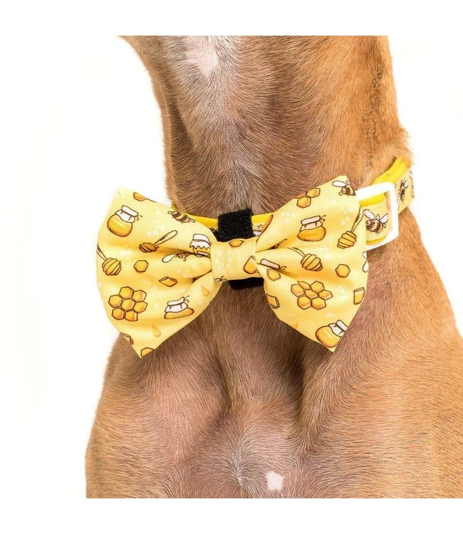 Big And Little Dogs Big And Little Dogs Halsband Bee Hiving 7 Big And Little Dogs Big And Little Dogs Halsband Bee Hiving - Afbeelding 5