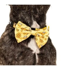 Big And Little Dogs Big And Little Dogs Halsband Bee Hiving 19 Big And Little Dogs Big And Little Dogs Halsband Bee Hiving -Hondenmode big and little dogs halsband bee hiving 8