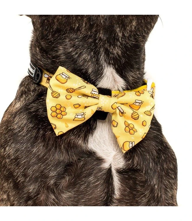 Big And Little Dogs Big And Little Dogs Halsband Bee Hiving 11 Big And Little Dogs Big And Little Dogs Halsband Bee Hiving - Afbeelding 9