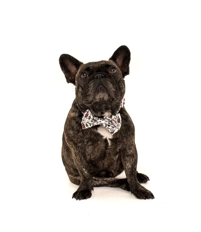 Big And Little Dogs Big And Little Dogs Halsband Best In The West ( XSMALL & MEDIUM ) 8 Big And Little Dogs Big And Little Dogs Halsband Best In The West ( XSMALL & MEDIUM ) - Afbeelding 6