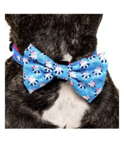 Big And Little Dogs Big And Little Dogs Halsband Feeling Nauti ( XSMALL & MEDIUM ) -Hondenmode big and little dogs halsband feeling nauti xsmall 3