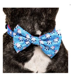 Big And Little Dogs Big And Little Dogs Halsband Feeling Nauti ( XSMALL & MEDIUM ) -Hondenmode big and little dogs halsband feeling nauti xsmall 6