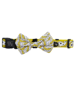 Big And Little Dogs Big And Little Dogs Halsband Going Bananas ( SMALL )
