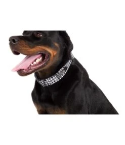 Big And Little Dogs Big And Little Dogs Halsband Houndstooth Squad -Hondenmode big and little dogs halsband houndstooth squad 3