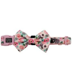 Big And Little Dogs Big And Little Dogs Halsband I'm A Succa For You ( LARGE )