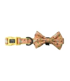 Big And Little Dogs Big And Little Dogs Halsband Mexicali ( Small & Medium )