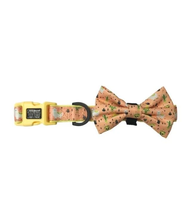 Big And Little Dogs Big And Little Dogs Halsband Mexicali ( Small & Medium ) 3 Big And Little Dogs Big And Little Dogs Halsband Mexicali ( Small & Medium )