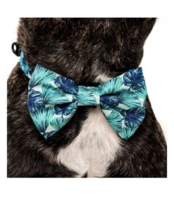 Big And Little Dogs Big And Little Dogs Halsband Miami Summer ( LARGE ) -Hondenmode big and little dogs halsband miami summer large 3