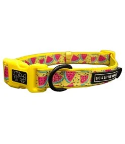 Big And Little Dogs Big And & Little Dogs Halsband One In A Melon -Hondenmode big and little dogs halsband one in a melon 1