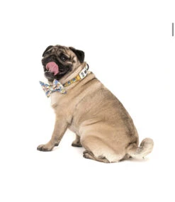 Big And Little Dogs Big And Little Dogs Halsband Rubber Ducky ( SMALL ) -Hondenmode big and little dogs halsband rubber ducky small 5